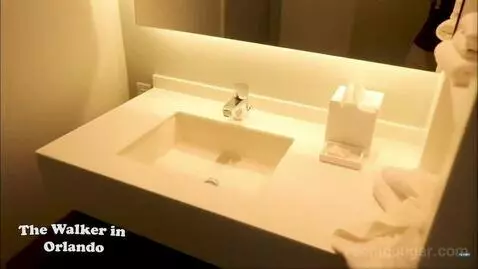 Deluxe King Room (Includes Early Park Admission*) (#957) bathroom picture #2