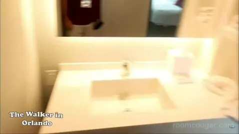 Deluxe King Room (Includes Early Park Admission*) (#957) bathroom picture #8