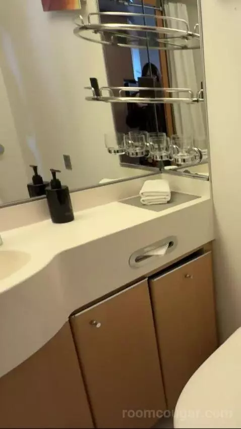 Balcony Cabin (#9165) bathroom picture #8
