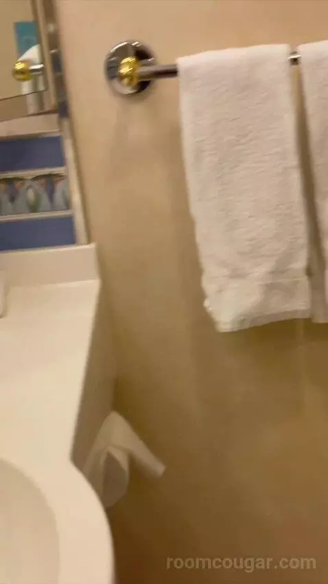 Balcony (#8552) bathroom picture #9