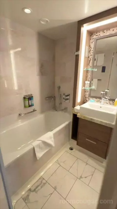 Junior Suite (#13234) bathroom picture #1