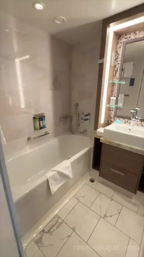 Junior Suite (#13234) bathroom picture #2