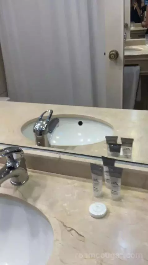 Standard Double Room (#609) bathroom picture #4