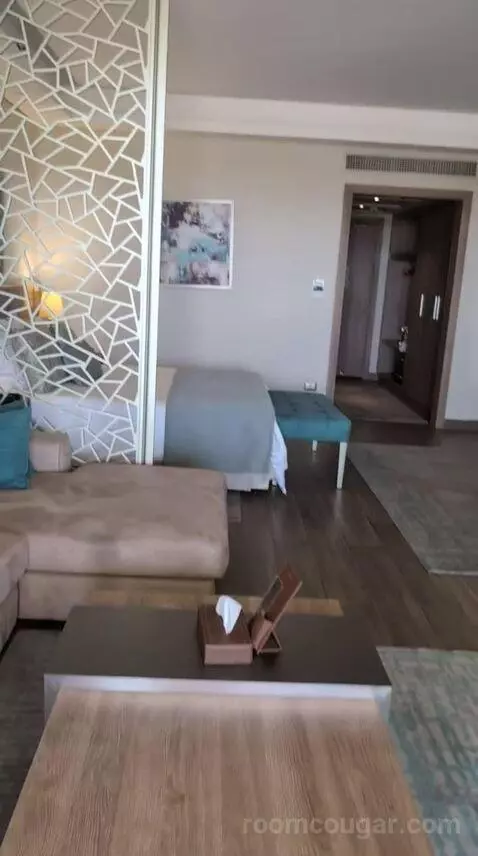 King Suite with Sea View (#40212) view picture #11