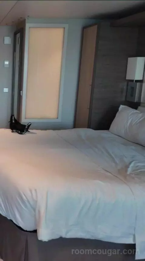 Junior Suite Balcony (#13234) bed picture #8