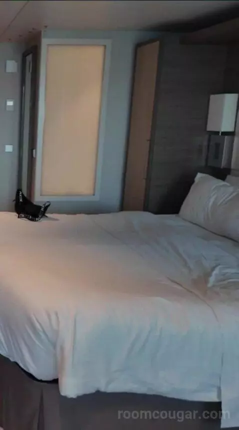 Junior Suite Balcony (#13234) bed picture #9