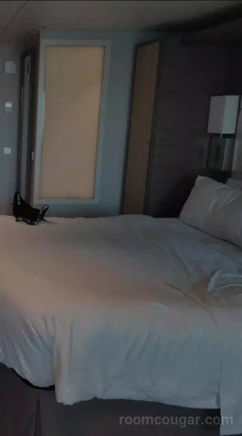 Junior Suite Balcony (#13234) bed picture #11