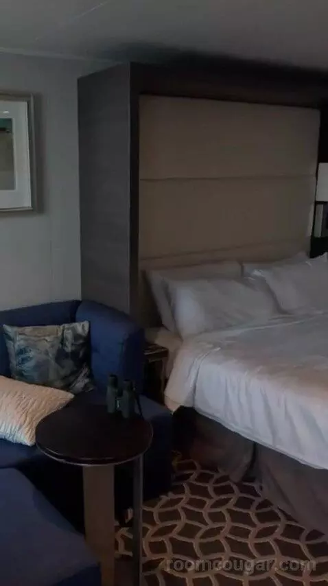Junior Suite Balcony (#7242) bed picture #11
