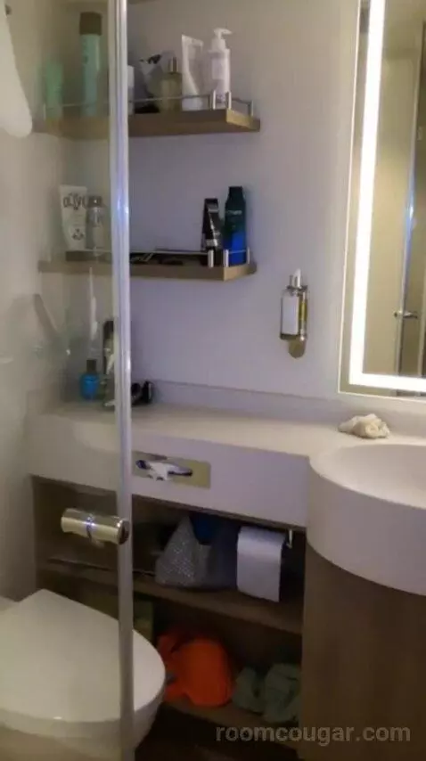 Conservatory Mini Suite (#8237) bathroom picture #1