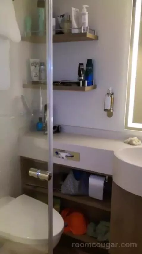 Conservatory Mini Suite (#8237) bathroom picture #3