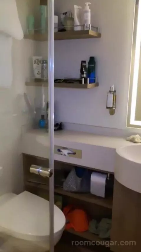 Conservatory Mini Suite (#8237) bathroom picture #4