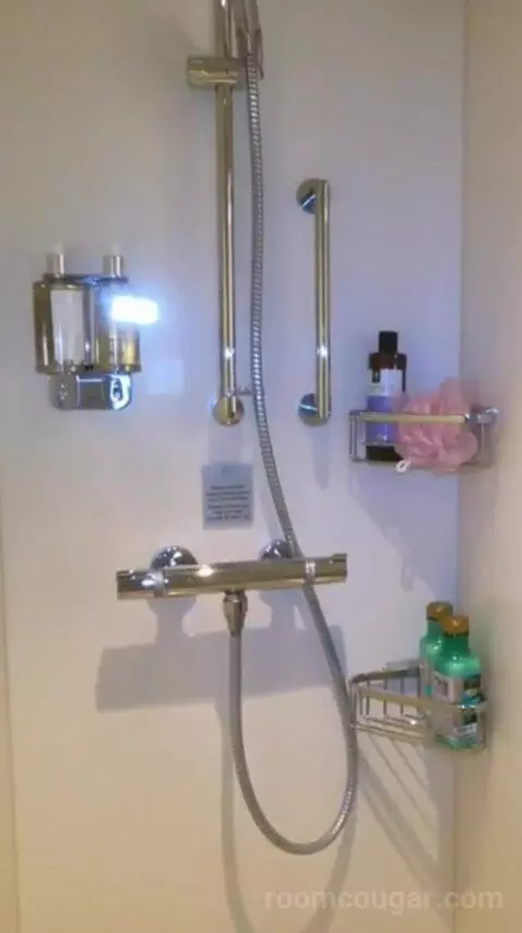 Conservatory Mini Suite (#8237) bathroom picture #5