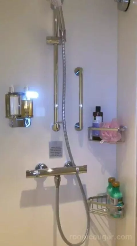 Conservatory Mini Suite (#8237) bathroom picture #7