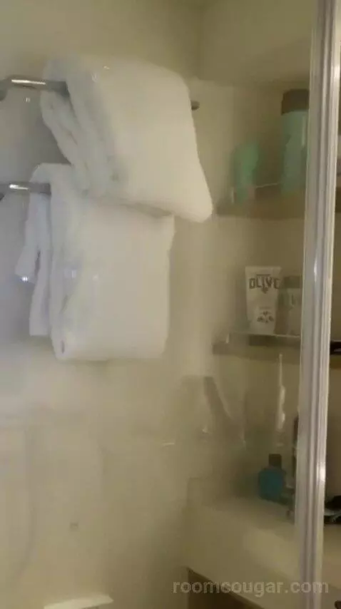 Conservatory Mini Suite (#8237) bathroom picture #8