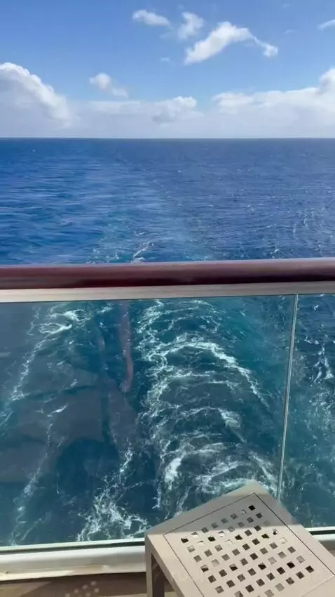 Aft Balcony Deck 8 (G728) view picture #10