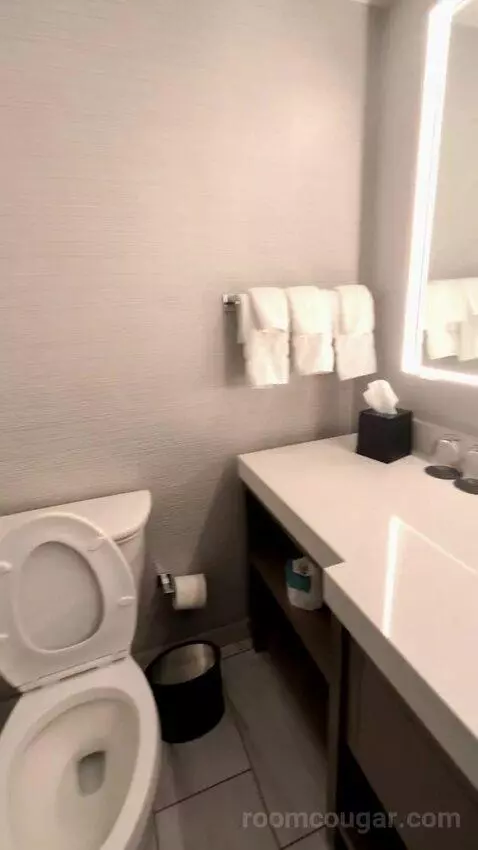 Guest Room, 2 Double, City View (#610) bathroom picture #8