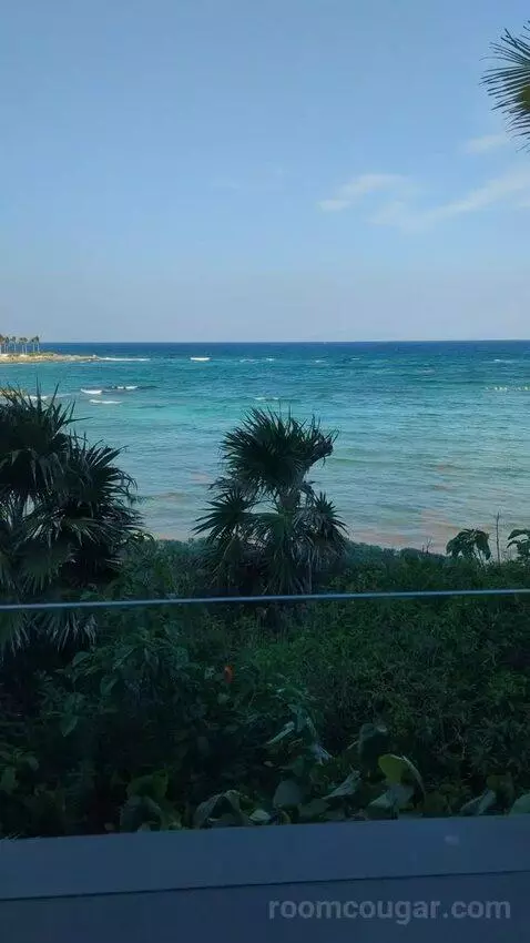 King Room with Ocean View view picture #5