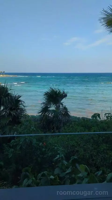 King Room with Ocean View view picture #6