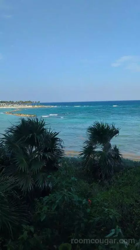 King Room with Ocean View view picture #8