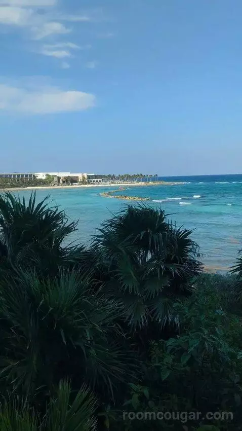 King Room with Ocean View view picture #9