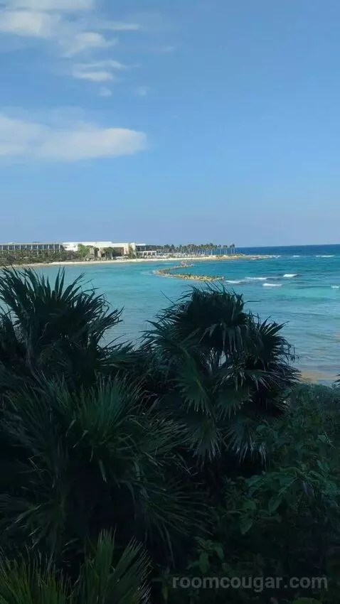 King Room with Ocean View view picture #10