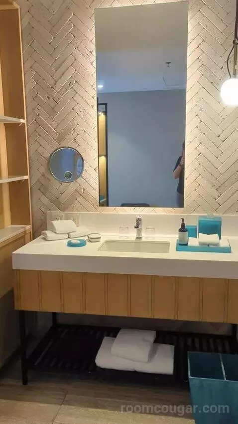 King Room with Ocean View bathroom picture #1