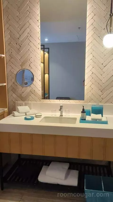 King Room with Ocean View bathroom picture #4