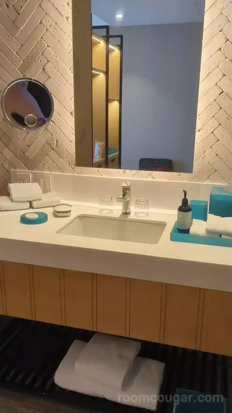 King Room with Ocean View bathroom picture #5