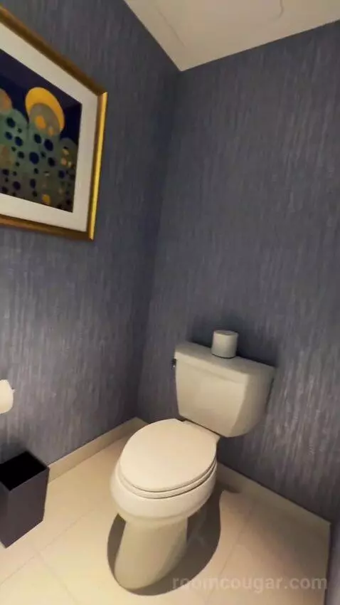 Gold King Strip Best View (#3325) picture #22