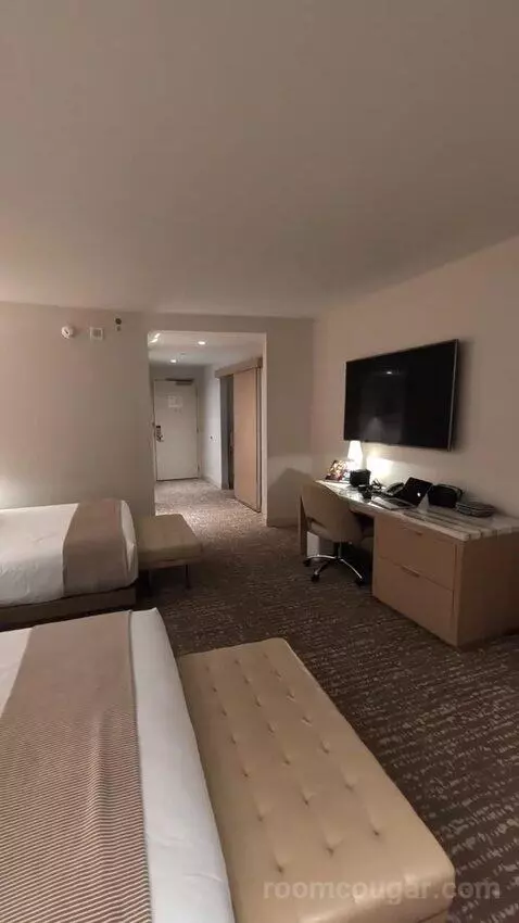 Fantasy Two Queens (#14203) picture #18