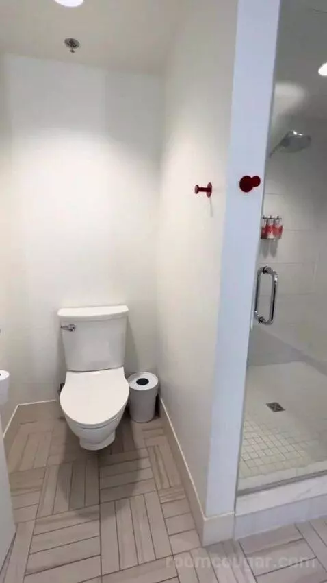 Deluxe One Bedroom Chamber Suite (#21158) bathroom picture #1