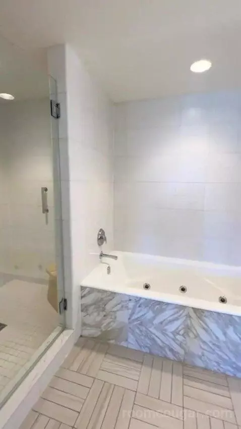 Deluxe One Bedroom Chamber Suite (#21158) bathroom picture #6