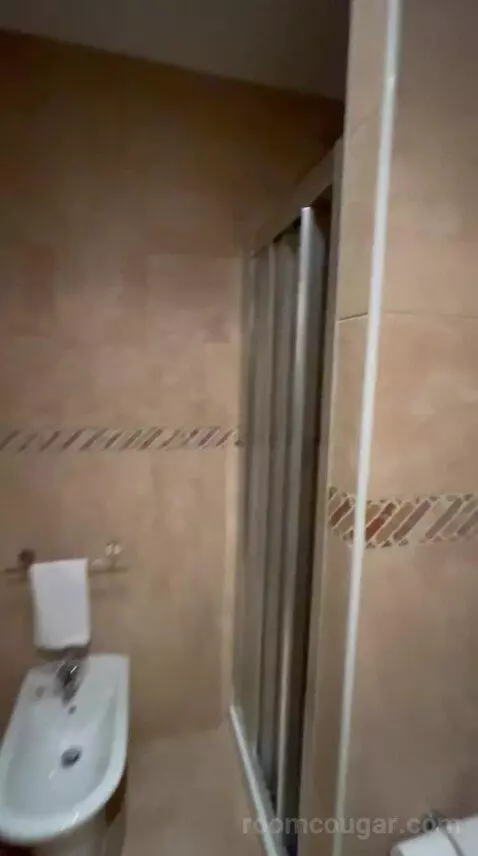 Standard Room (#003) bathroom picture #7