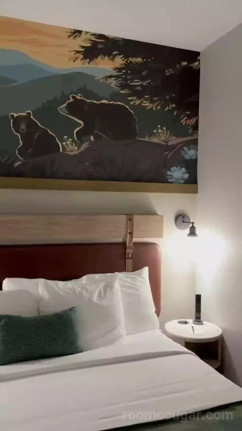 King Room with Murphy Bed (#2122) bed picture #11