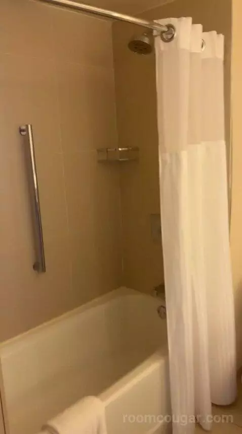 Deluxe King Room - High Floor (#3906) bathroom picture #3