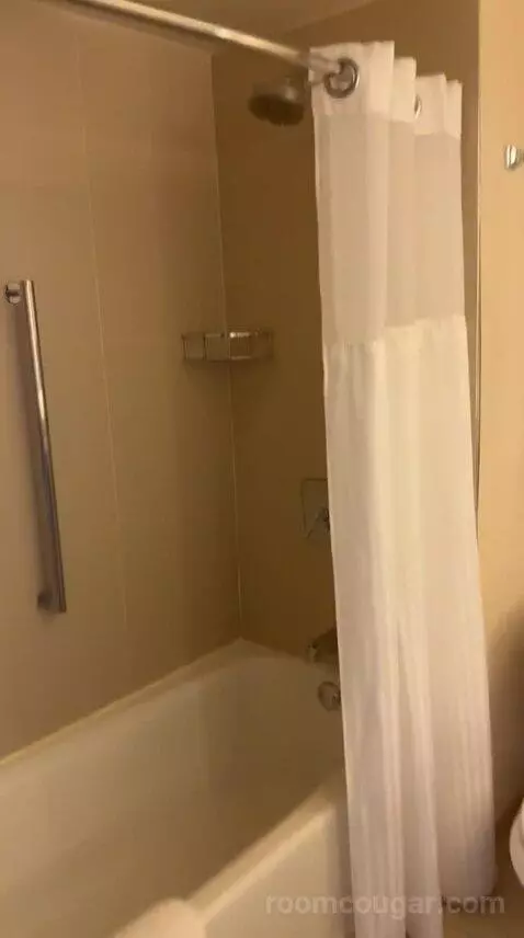 Deluxe King Room - High Floor (#3906) bathroom picture #4