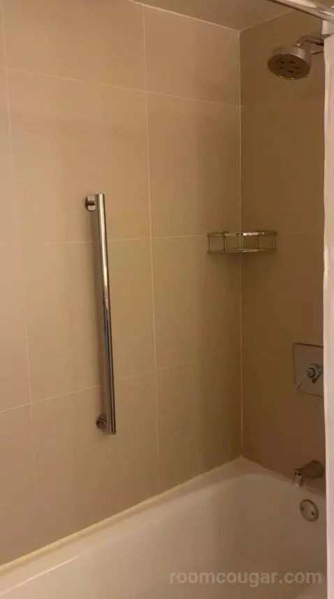 Deluxe King Room - High Floor (#3906) bathroom picture #6