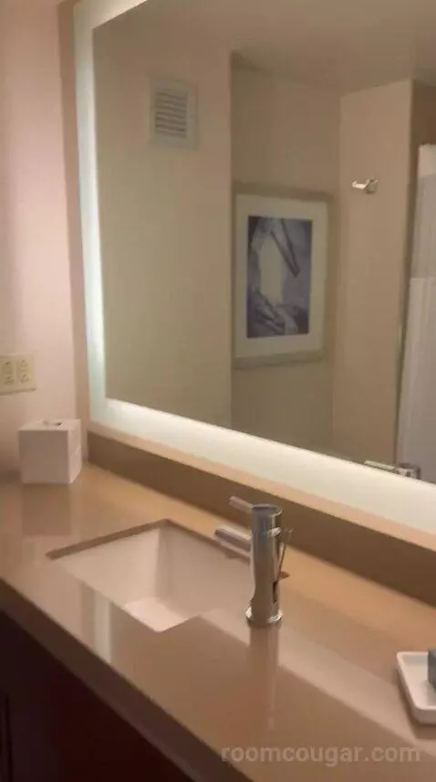 Deluxe King Room - High Floor (#3906) bathroom picture #9