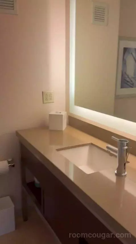 Deluxe King Room - High Floor (#3906) bathroom picture #11