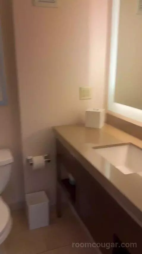 Deluxe King Room - High Floor (#3906) bathroom picture #12