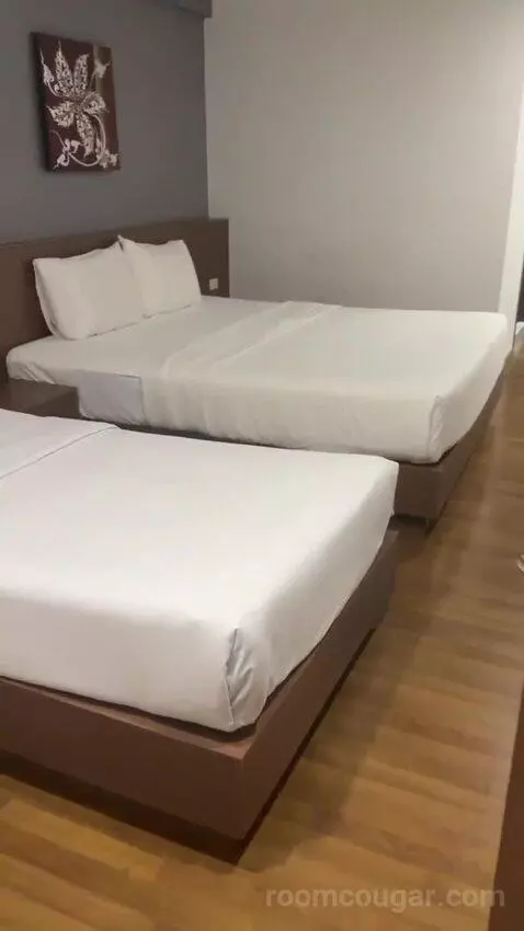 freespirittravels