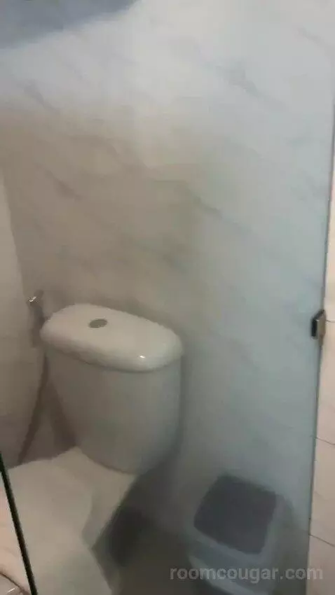 Deluxe Triple Room (#616) bathroom picture #7