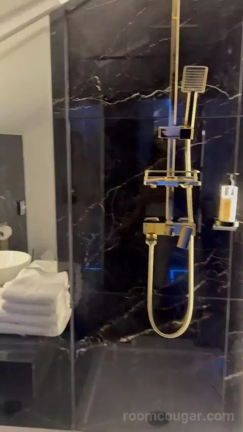 Deluxe Apartment (#108) bathroom picture #3