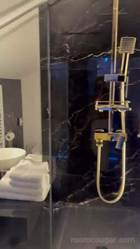 Deluxe Apartment (#108) bathroom picture #4