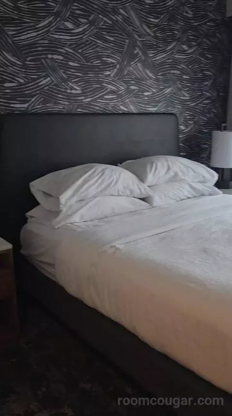Premium King Suite (#615) bed picture #1