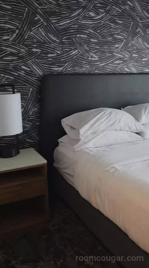 Premium King Suite (#615) bed picture #3