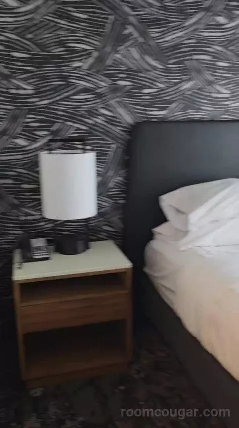 Premium King Suite (#615) bed picture #5