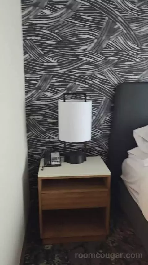 Premium King Suite (#615) bed picture #7