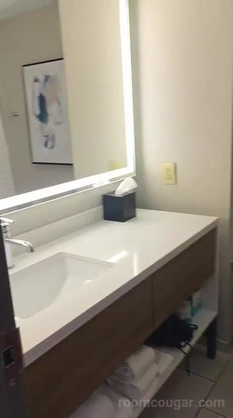 Premium King Suite (#615) bathroom picture #1