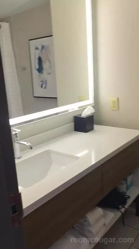 Premium King Suite (#615) bathroom picture #2